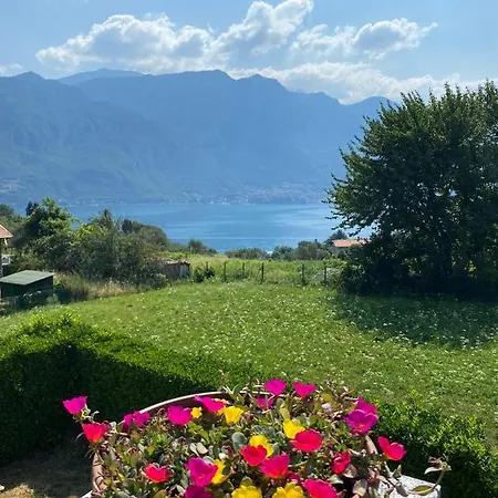 Il Sogno Deluxe アパート *